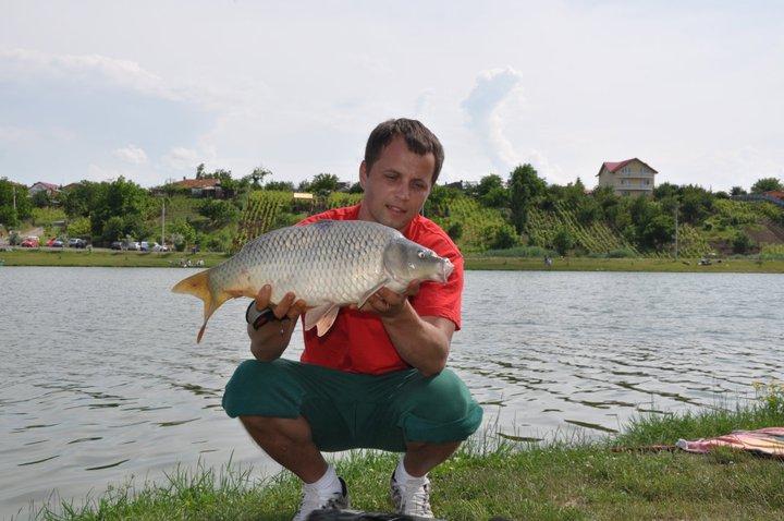 Partide 2010 - 2012 - 2528111500298150683501000018399645173191984969636n.jpg